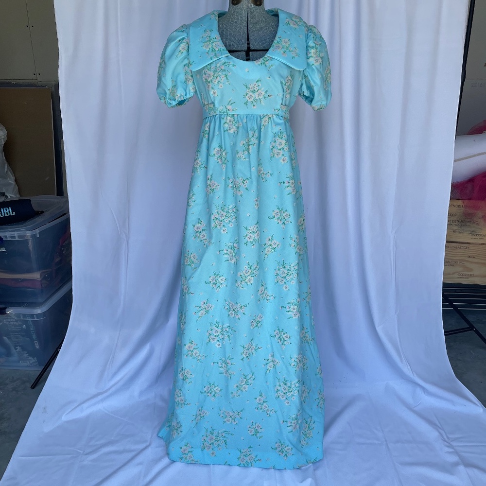 1960s / 1970s Blue Floral Cottage Core Romantic Prairie Maxi Dress